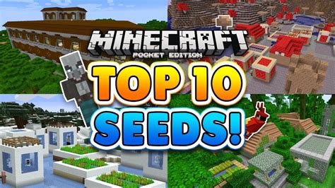 Minecraft best seeds pocket edition - 🔥 https://xo.link/minechill — Play new Crossout 2.0 for FREE and get your bonus!Here are the Top 50 Best Seeds found in Minecraft Bedrock Edition this year...